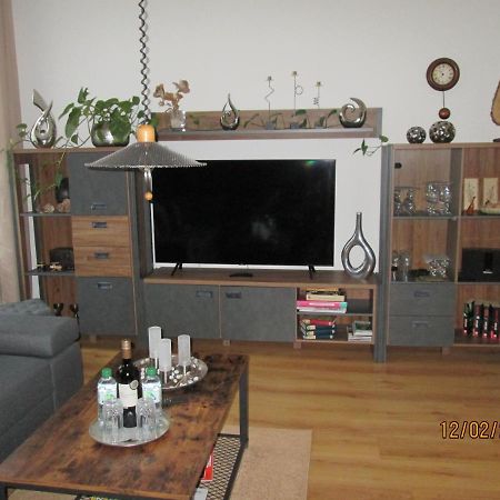 Zentrale-Ruhige Ferienwohnung Reichenbach im Vogtland Εξωτερικό φωτογραφία