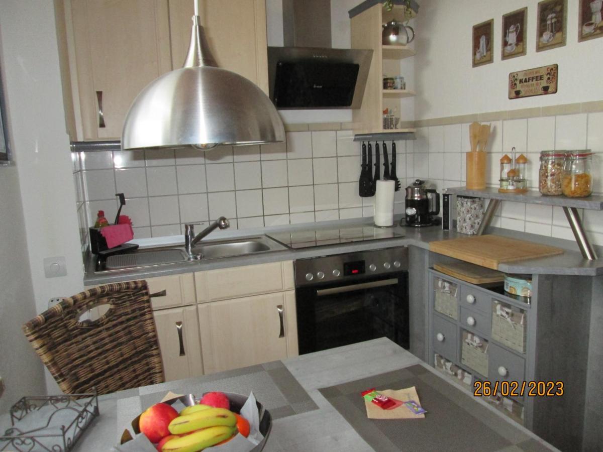 Zentrale-Ruhige Ferienwohnung Reichenbach im Vogtland Εξωτερικό φωτογραφία